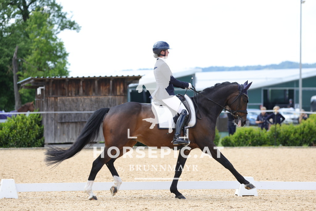 0P6A8731 | Willkommen bei Brunnmayr - Design & Fotografie – Ihrem Spezialisten für Reitturniere und Pferdeveranstaltungen in Oberösterreich, Salzburg und Bayern! Seit über 17 Jahren sind wir leidenschaftlich dabei.