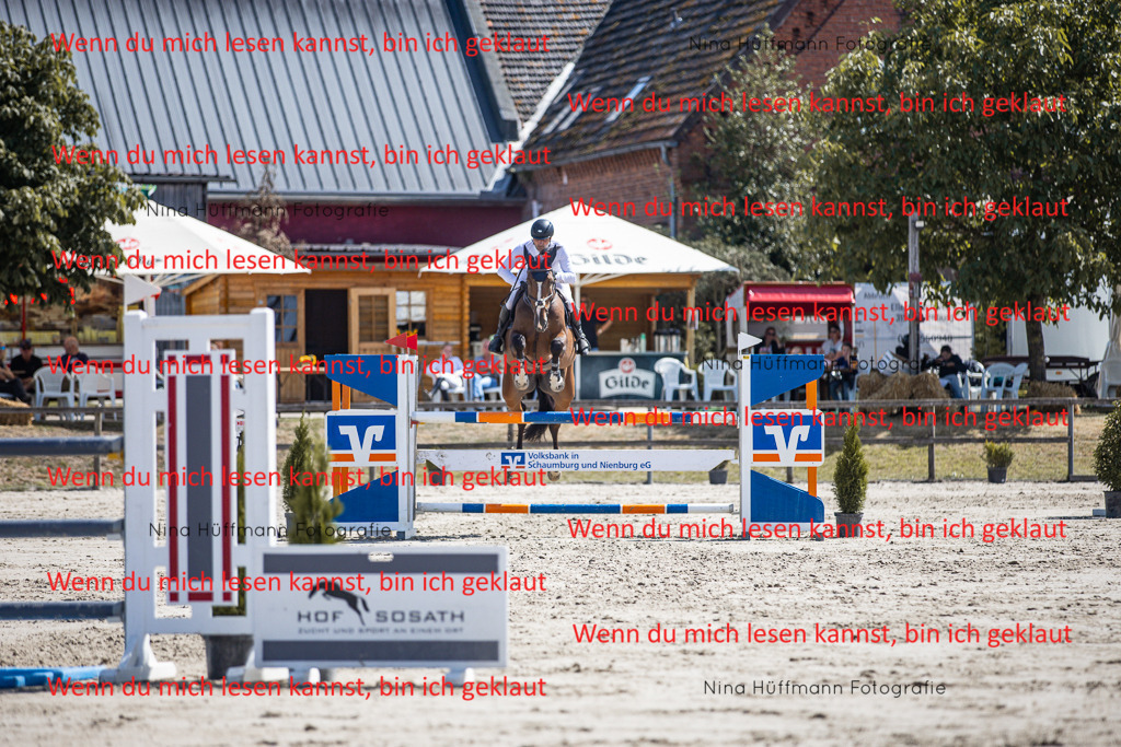 BK1A6404 | Turnierbilder Turnierfotos Nina Hüffmann Turnierfotografie Pferdefotografie Tierzeichnung Haustierzeichnung Pferdezeichnung Hundezeichnung Videograf  - Realisiert mit Pictrs.com