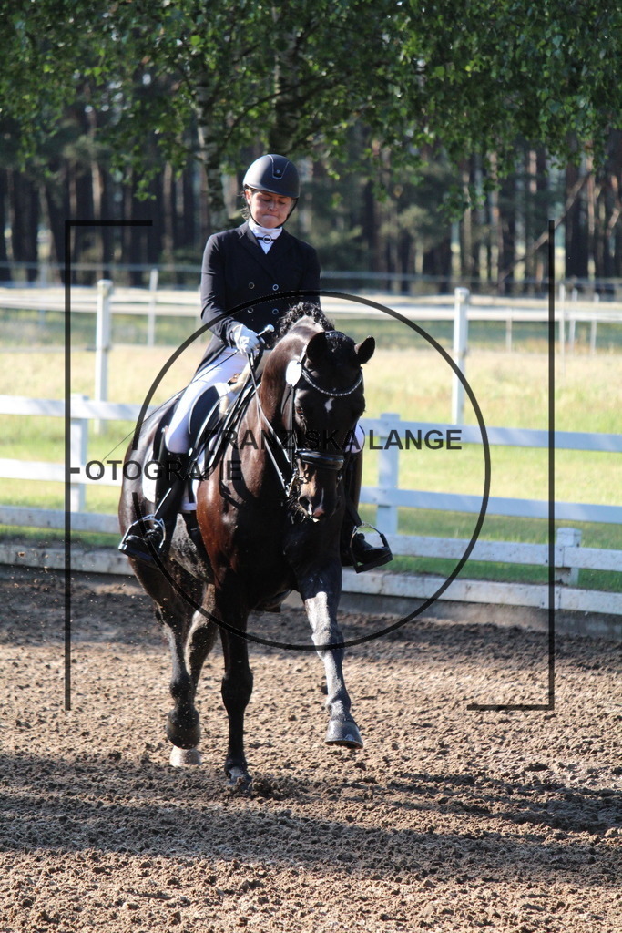 IMG_5803 | franziskalange - Realisiert mit Pictrs.com