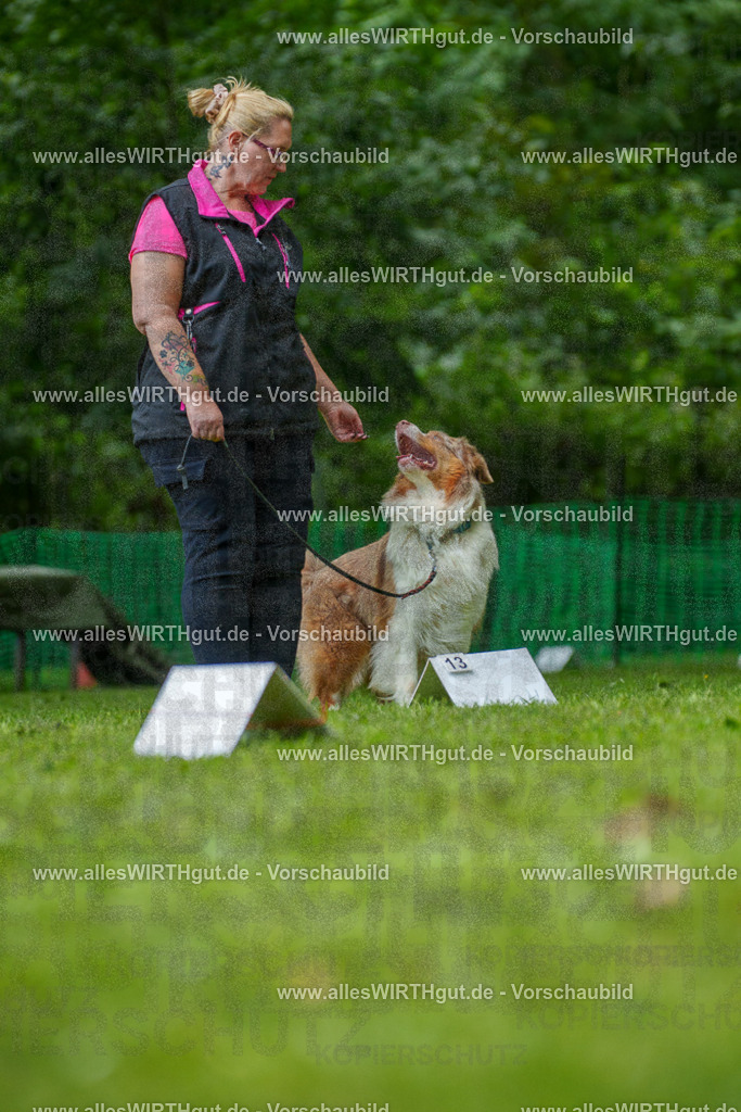 @allesWIRTHgut_Tierfotografie - www.allesWIRTHgut.de - 7R505055 | Professionelle Tierfotografie in Mönchengladbach von Daniel Wirth (allesWIRTHgut). Liebevolle & natürliche Bilder von Hunden & Katzen für unvergessliche Erinnerungen.