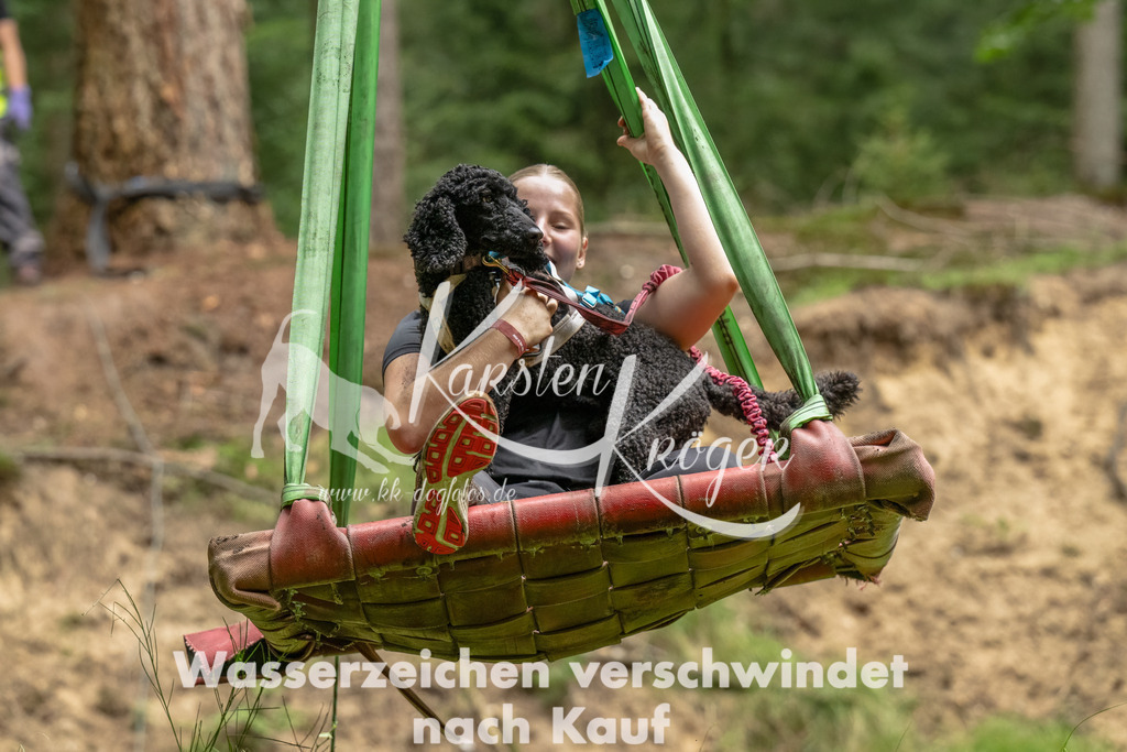 1300_ZZ91934-Bearbeitet | kk-dogfotos