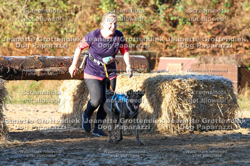 Dog Paparazzi - Strongdog 10-25-771 | Dog Paparazzi Jeanette Grottendiek Fotografie & Videografie - Realisiert mit Pictrs.com
