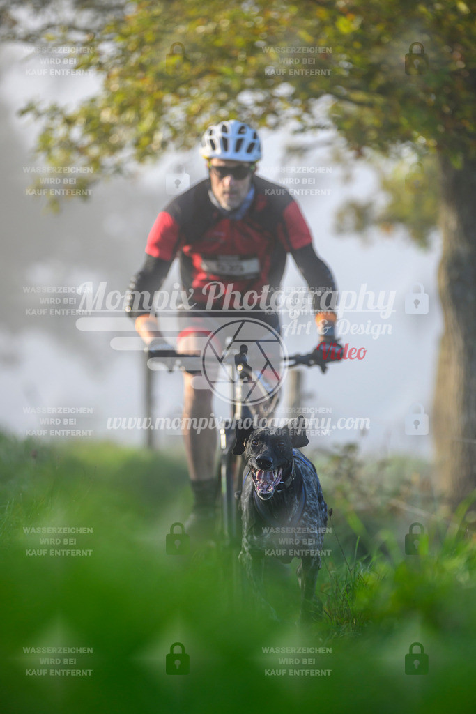 MompixPhotography_20TSB_E3_Bike-68 | PayLife