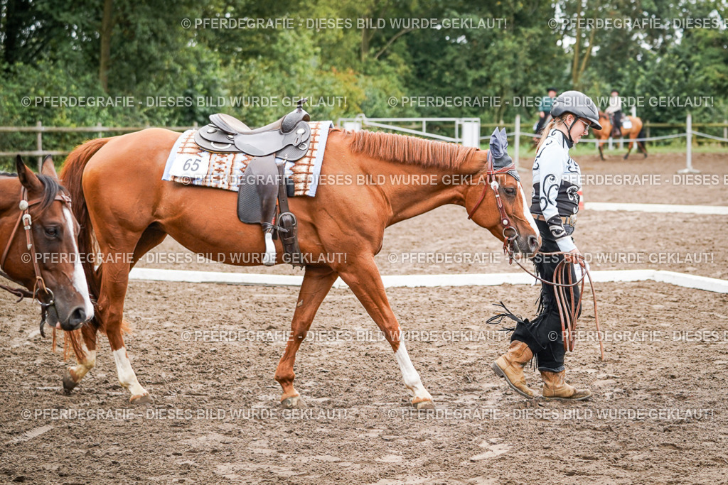 DSC04262 | Pferdegrafie