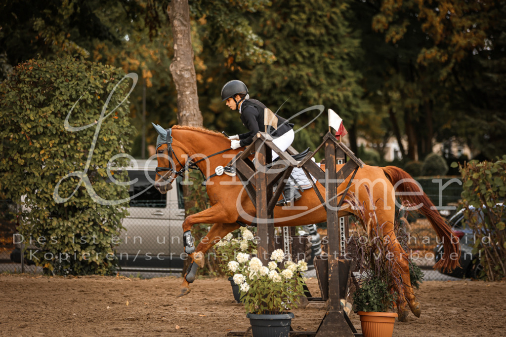 04.SaSpES00213 | Leoni Ertmer Photography - Realisiert mit Pictrs.com