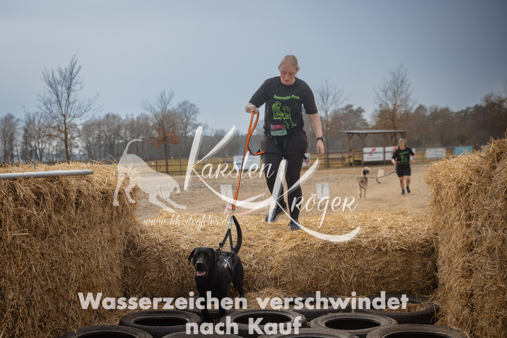 1225_ZZ95692 | kk-dogfotos