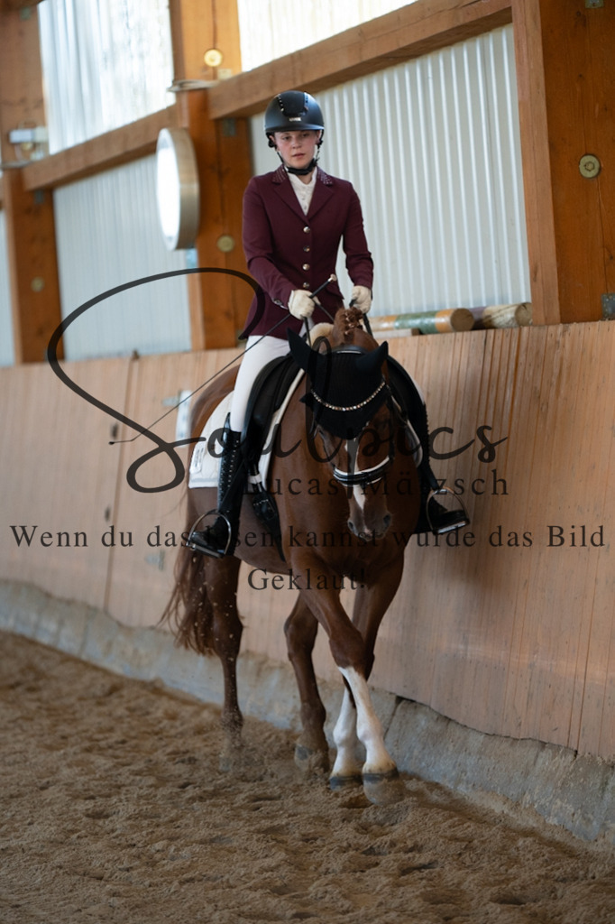 A7V01639 | Turnier/Reitfotograf