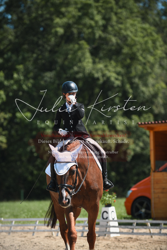 DSC_2222 | Pferde- und Turnierfotografie in Westsachsen. Pferdeportraits, Auftragszeichnungen und intuitive Kunst.