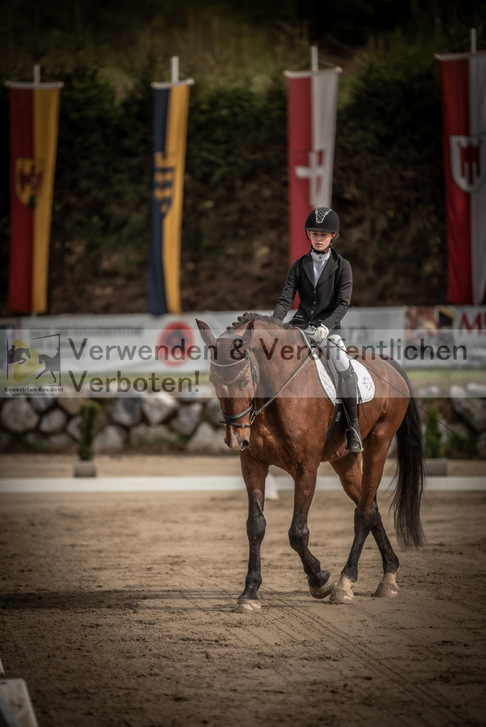 DSC_8296 | equestrian-live-com