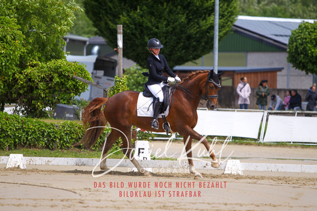 DKP40701 | Turniersportfotografie; Pferdefotografie; Dressurfotografie