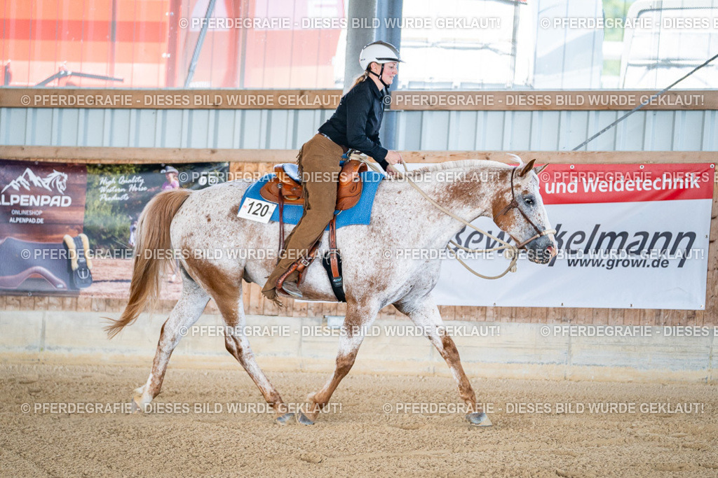 DSC01894 | Pferdegrafie