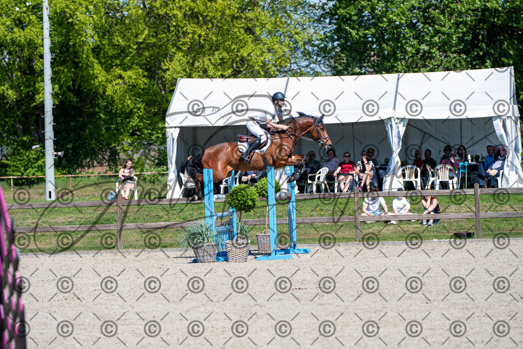 KPT_1203 | andre_photographic