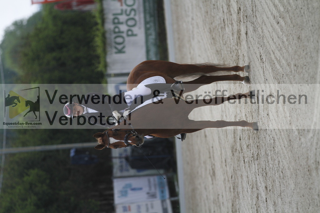 _MG_0541 | equestrian-live-com