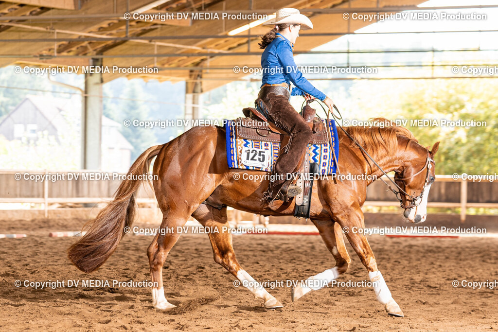 Erbach Tag 1-241 | dv-media-shop - Realisiert mit Pictrs.com