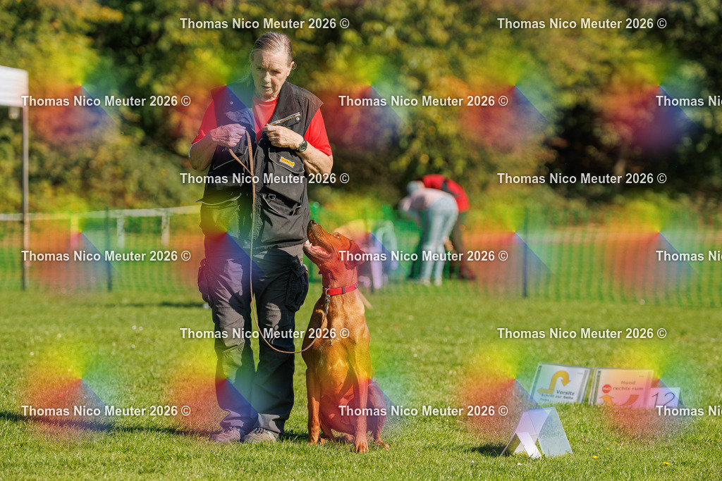 Thomas_Nico_Meuter(C)_04. Oktober 2026_223A1578 | Bild von Thomas Nico Meuter - Realisiert mit Pictrs.com