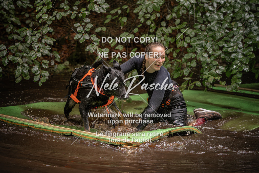 nelerasche_Wingst_Sa1330-1400_290 | nelerasche