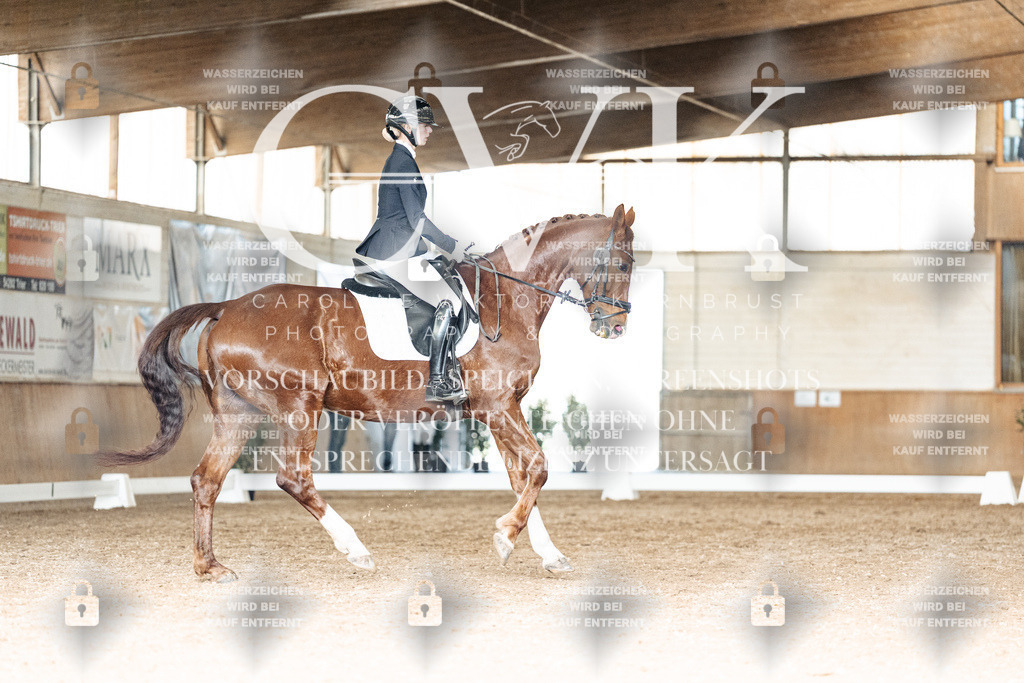 CK902441 | Turnierfotografie Pferdefotografie Trier Rheinland-Pfalz Pferdesport Reitsport Tierfotografie Sportfotografie Pferdevideo Pferdevideografie Equestrianvideography equestrianphotography  - Realisiert mit Pictrs.com