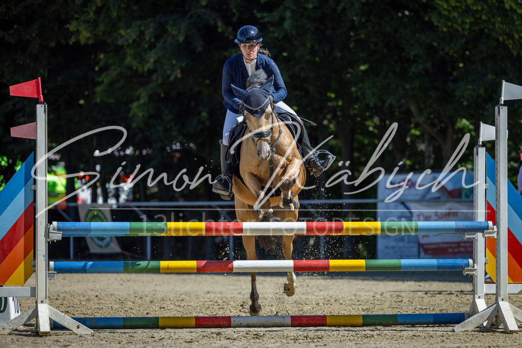 20260704-_3LI7477 | Tierfotografie Pferde, Hunde, Katzen, Haustiere.
Turnierfotografie Reitturniere, Reiten, Springreiten, Dressur in Hanau, dem Main-Kinzig-Kreis und dem Rhein-Main- Gebiet um Frankfurt