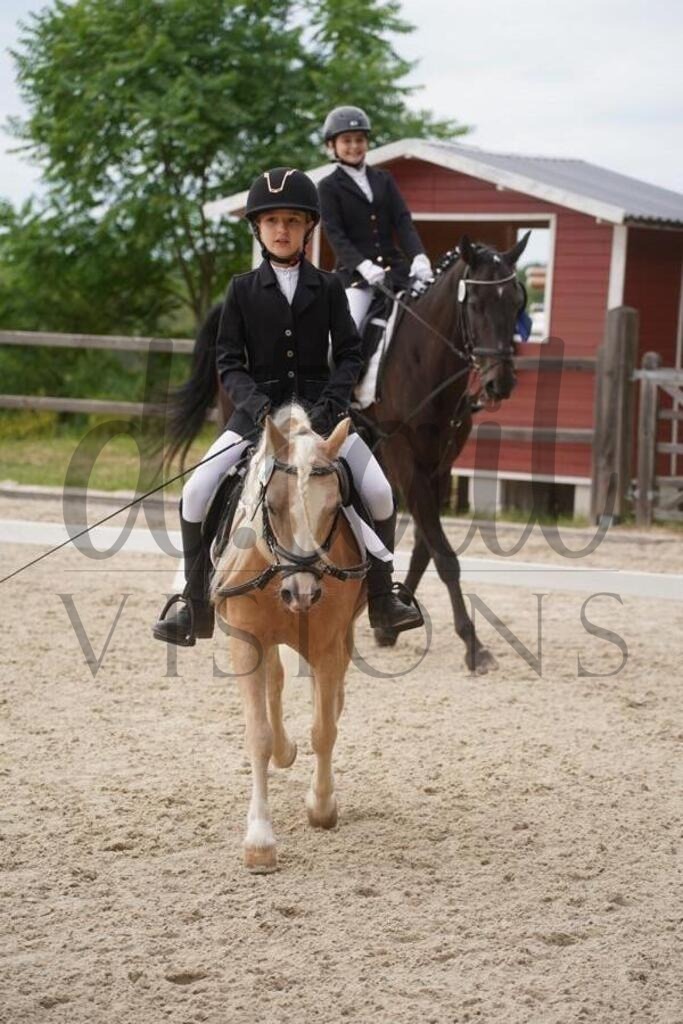 tgbhsamstag (2222) | d.tail Visions - Shop - Realisiert mit Pictrs.com