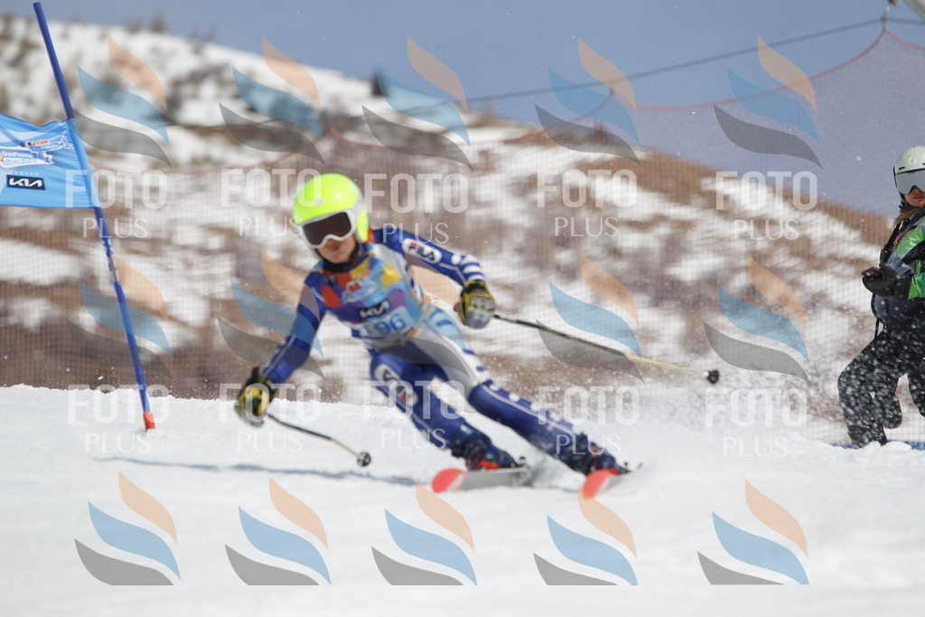 _U3G1965 | holidayphoto