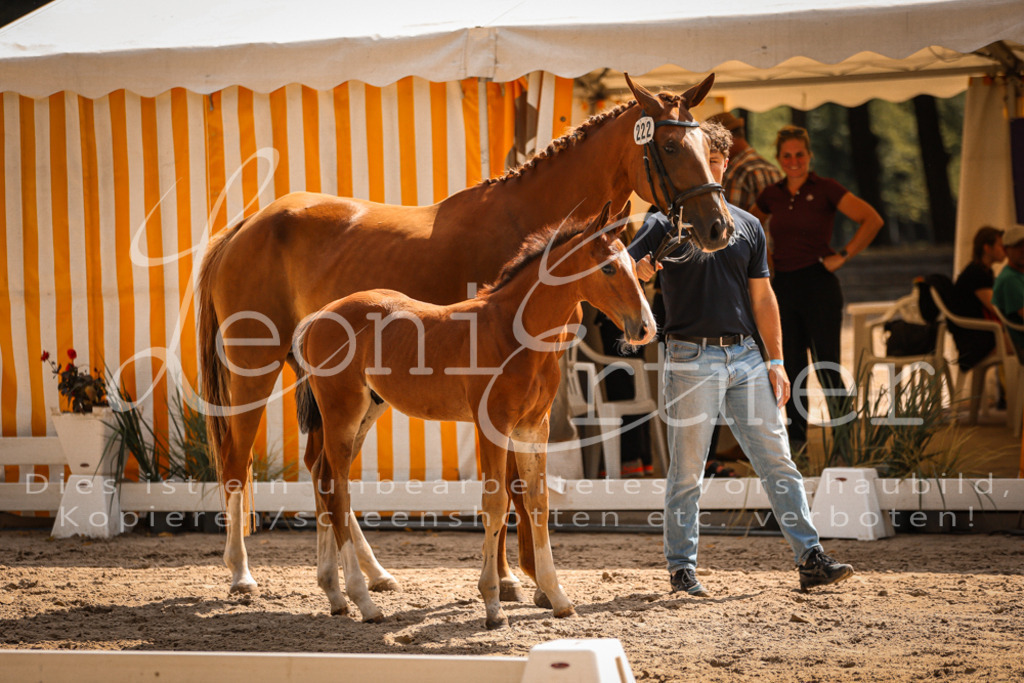 07.DoWBS00121 | Leoni Ertmer Photography - Realisiert mit Pictrs.com