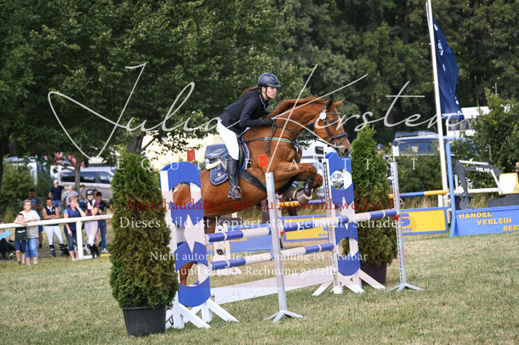 DSC_0365 | Pferde- und Turnierfotografie in Westsachsen. Pferdeportraits, Auftragszeichnungen und intuitive Kunst.