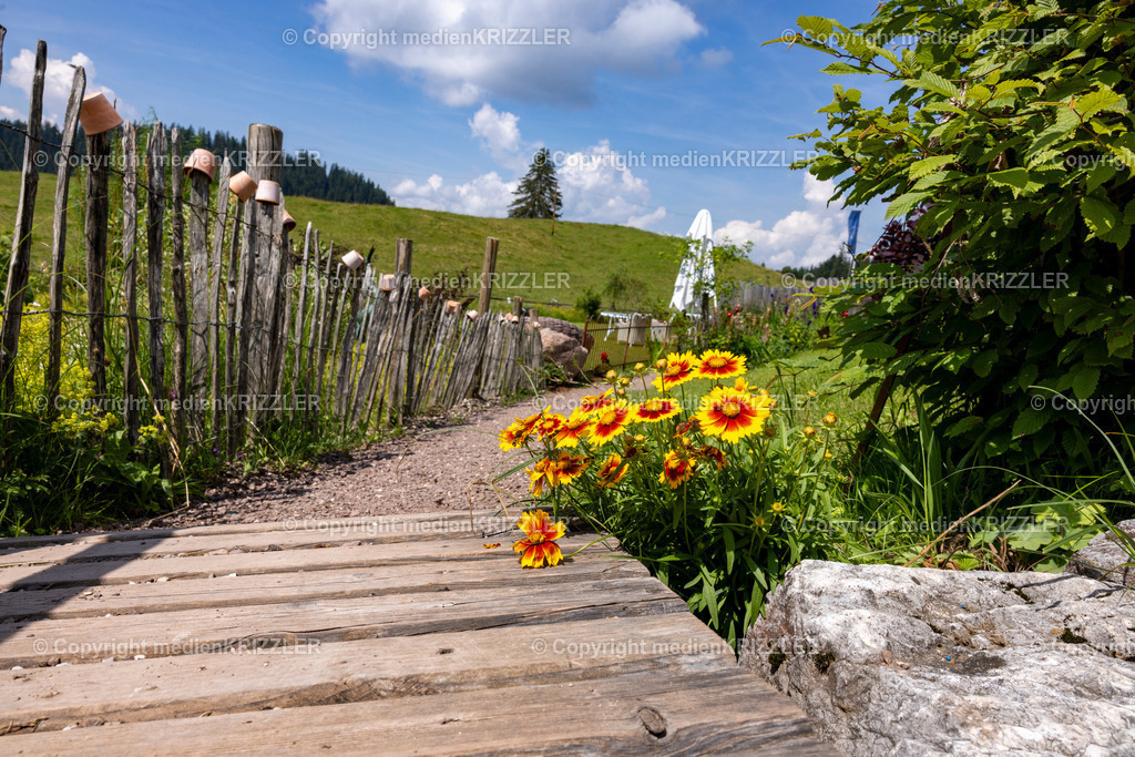 _J3A5453 | medienkrizzler - Realisiert mit Pictrs.com