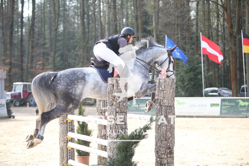 PP013769 | Willkommen bei Brunnmayr - Design & Fotografie – Ihrem Spezialisten für Reitturniere und Pferdeveranstaltungen in Oberösterreich, Salzburg und Bayern! Seit über 17 Jahren sind wir leidenschaftlich dabei.