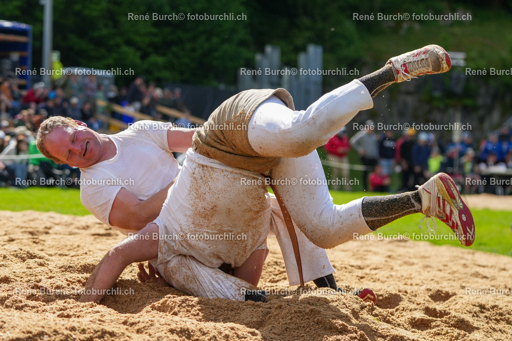 RB-09232 | René Burch leidenschaftlicher Fotograf aus Kerns in Obwalden.  Hier finden sie Sport, Landschaft und Natur Fotografie.
 - Realisiert mit Pictrs.com