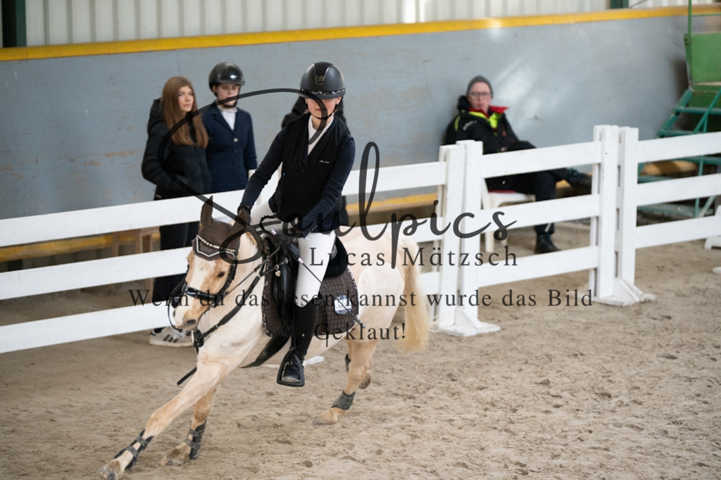 A7V01915 | Pferdefotograf