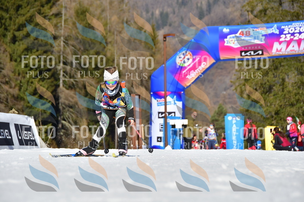 _DSC8803 | holidayphoto