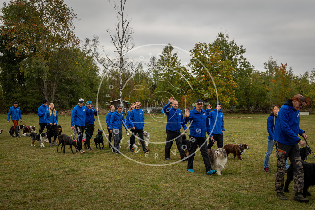 Pfotenfotografie_0L8A0292 | Hundefotografie, Tierfotograf, Pfotenfotografie, Fotoshooting Hund, Hunde Portrait, Hundesport, Hundeportraits, Heideshooting, Hunde, Sportfotograf, Hundefotograf, Turnierhundsport, THS,  - Realisiert mit Pictrs.com