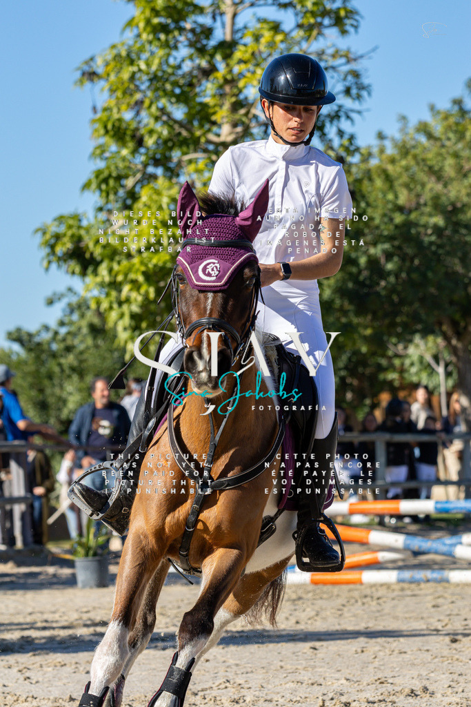 IMG_8254 | s-jay-photography - Realisiert mit Pictrs.com