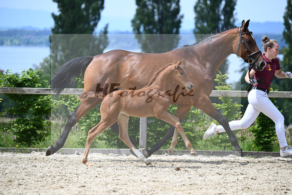 Va Bene x Bordeaux_SF_Lehmann_19240399 | hf-fotografie - Realisiert mit Pictrs.com