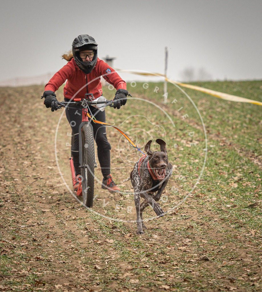 Pfotenfotografie_DV3A3617 | Hundefotografie, Tierfotograf, Pfotenfotografie, Fotoshooting Hund, Hunde Portrait, Hundesport, Hundeportraits, Heideshooting, Hunde, Sportfotograf, Hundefotograf, Turnierhundsport, THS,  - Realisiert mit Pictrs.com
