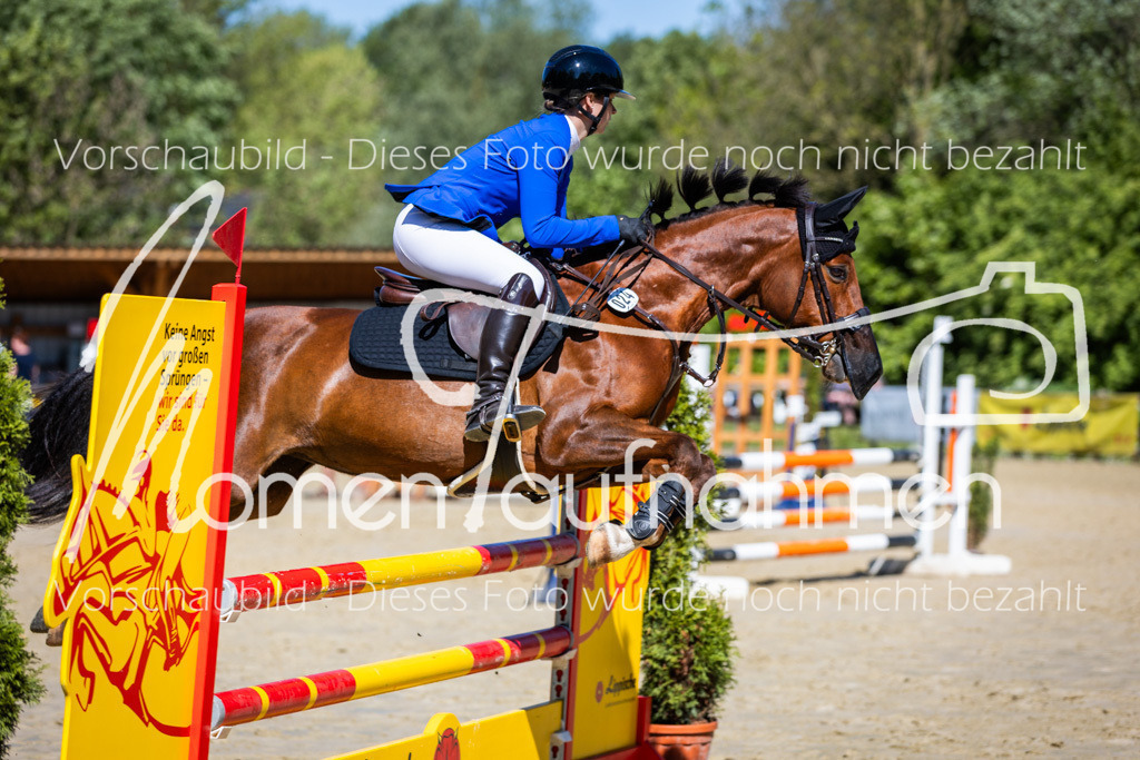 Donop24-A2Spr-163 | MomenTaufnahmen Pferdesportfotos