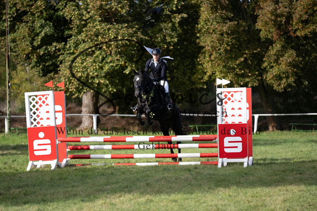 A7V06570 | Pferdefotograf