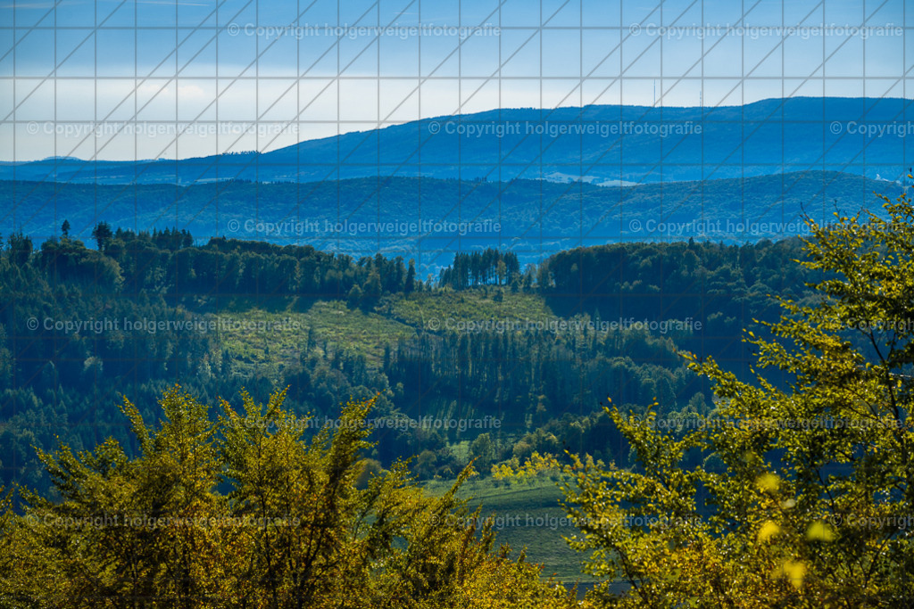20261005154458Z63_8204 | Kaufen sie online außergewöhnliche Fotografien auf Leinwand Acrylglas Fotoprint Aludibond von holgerweigeltfotografie - Realisiert mit Pictrs.com