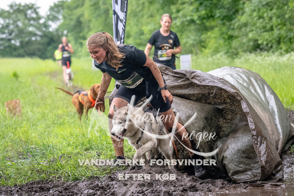 1611_ZZ92818-Bearbeitet | kk-dogfotos