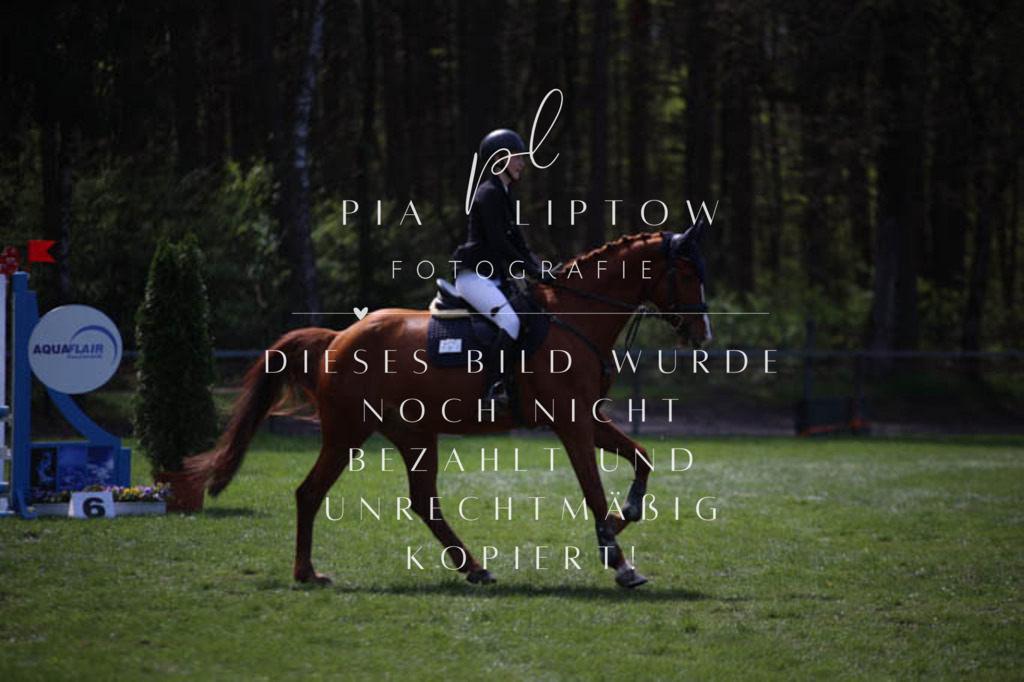 IMGT5340 | pl-fotografie