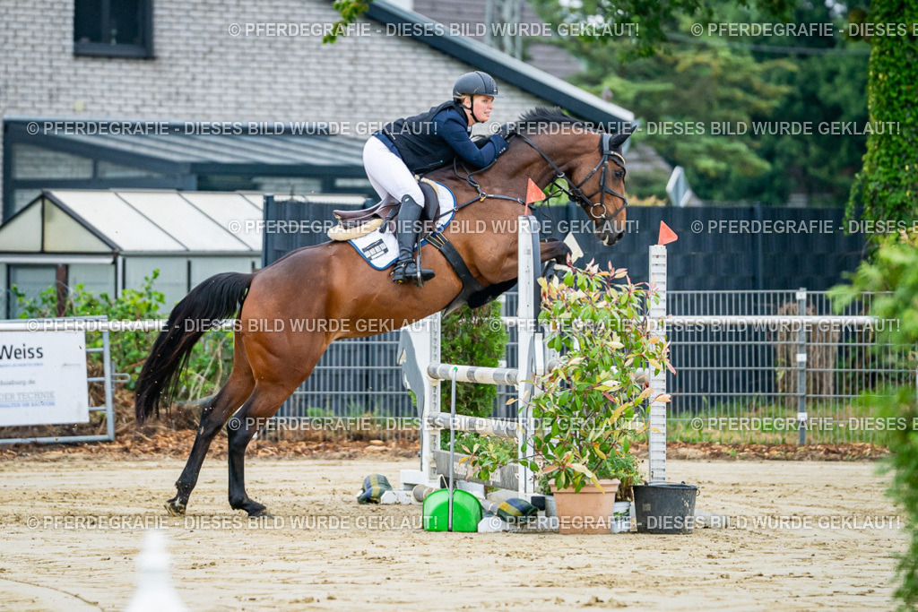 DSC02187 | Pferdegrafie