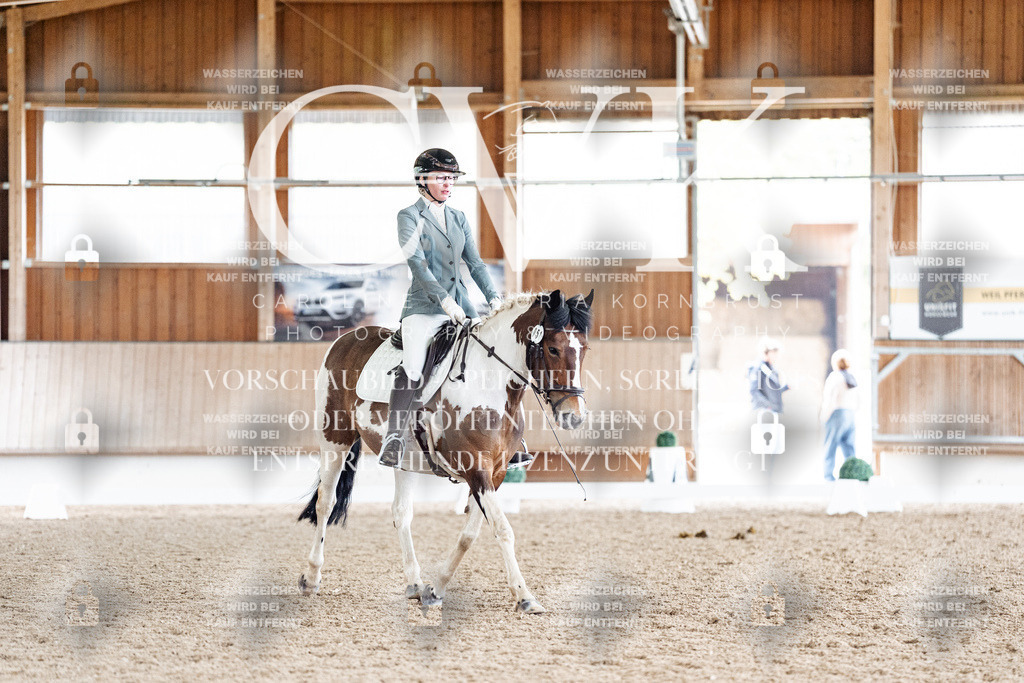 CK901021 | Turnierfotografie Pferdefotografie Trier Rheinland-Pfalz Pferdesport Reitsport Tierfotografie Sportfotografie Pferdevideo Pferdevideografie Equestrianvideography equestrianphotography  - Realisiert mit Pictrs.com