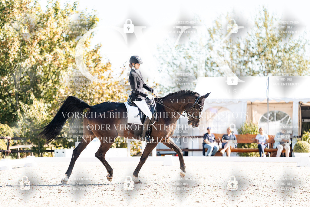 CK908948 | Turnierfotografie Pferdefotografie Trier Rheinland-Pfalz Pferdesport Reitsport Tierfotografie Sportfotografie Pferdevideo Pferdevideografie Equestrianvideography equestrianphotography  - Realisiert mit Pictrs.com