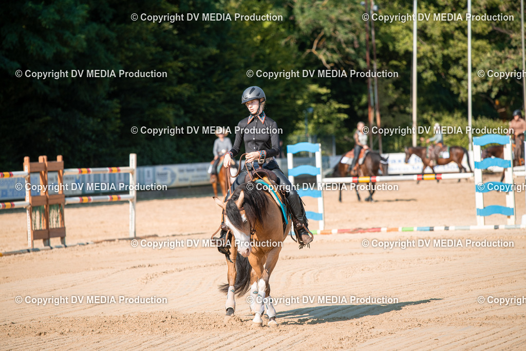 ZS2_8816 | dv-media-shop - Realisiert mit Pictrs.com