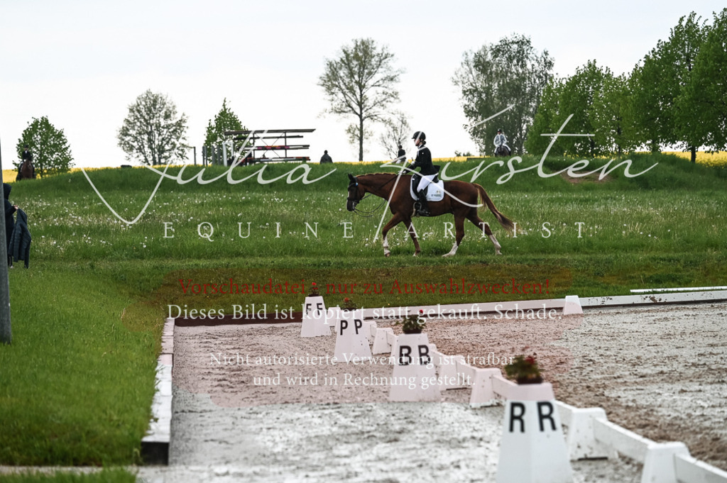 DSC_4319 | Pferde- und Turnierfotografie in Westsachsen. Pferdeportraits, Auftragszeichnungen und intuitive Kunst.