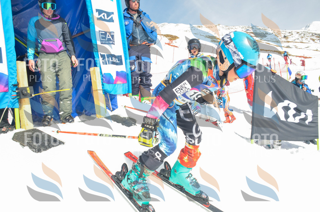 _ELE6800 | holidayphoto