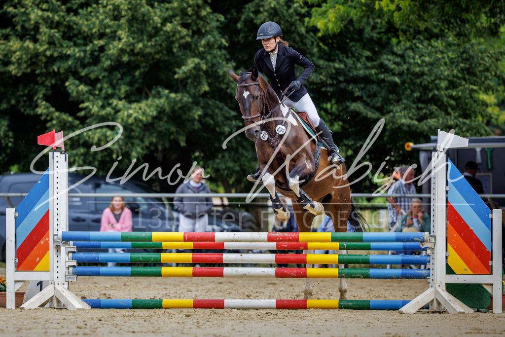 20260705-_3LI3799 | Tierfotografie Pferde, Hunde, Katzen, Haustiere.
Turnierfotografie Reitturniere, Reiten, Springreiten, Dressur in Hanau, dem Main-Kinzig-Kreis und dem Rhein-Main- Gebiet um Frankfurt