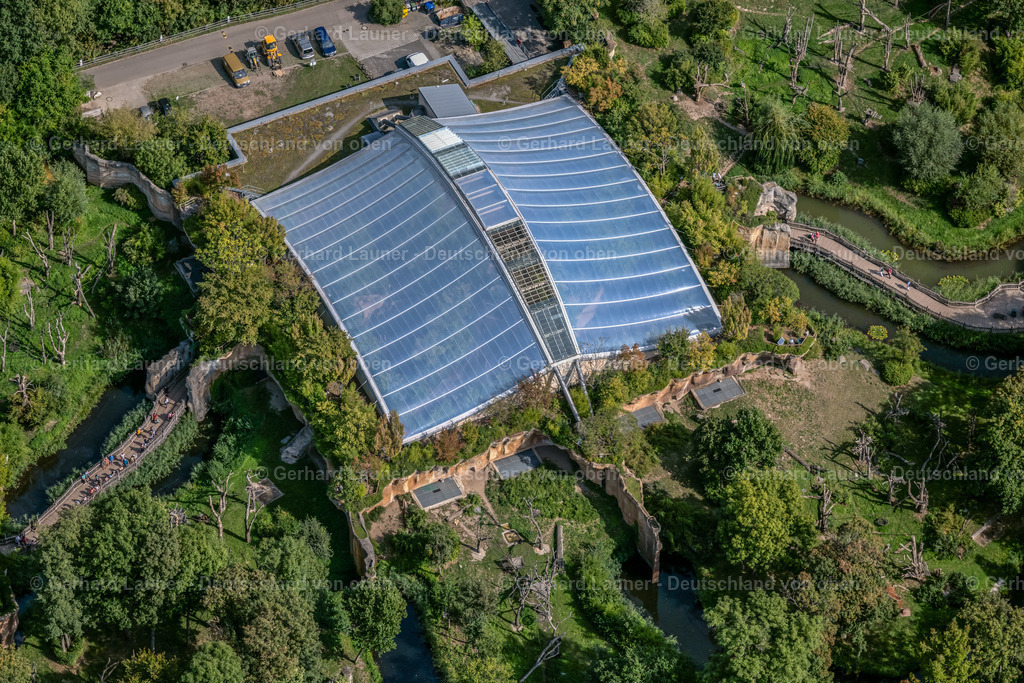 4039835 | LEIPZIG 14.09.2020 Zoogelände am Tierpark - Menschenaffenanlage Pongoland im Ortsteil Zentrum-Nordwest in Leipzig im Bundesland Sachsen, Deutschland. Weiterführende Informationen bei: Zoo Leipzig GmbH. // Zoo grounds at the Pongoland animal park in the district Zentrum-Nordwest in Leipzig in the state Saxony, Germany. Further information at: Zoo Leipzig GmbH. Foto: Gerhard Launer