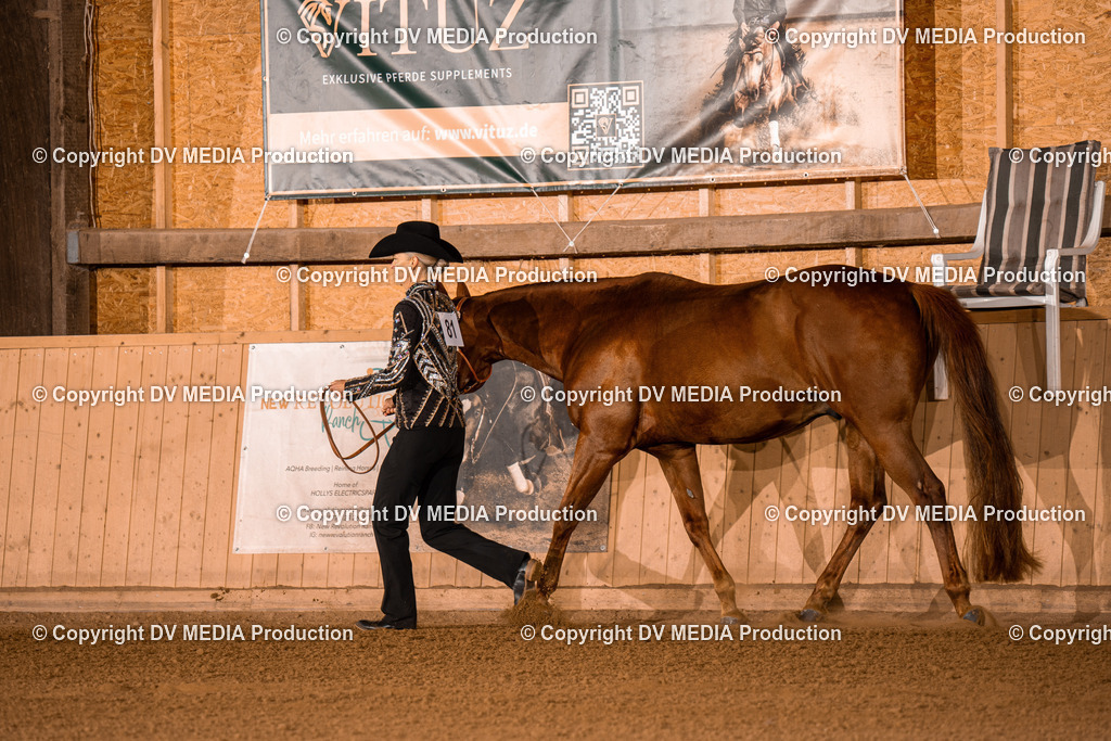 NE100030 | dv-media-shop - Realisiert mit Pictrs.com