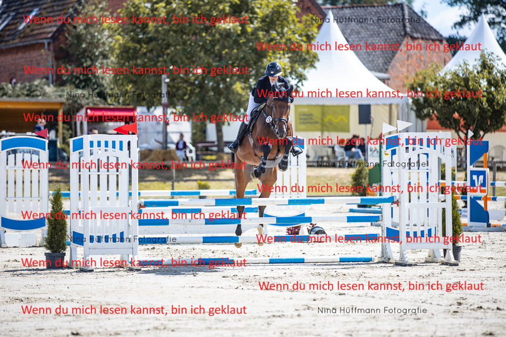 BK1A5003 | Turnierbilder Turnierfotos Nina Hüffmann Turnierfotografie Pferdefotografie Tierzeichnung Haustierzeichnung Pferdezeichnung Hundezeichnung Videograf  - Realisiert mit Pictrs.com